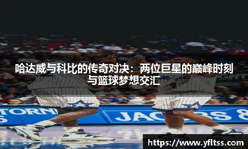 zoty中欧手机下载